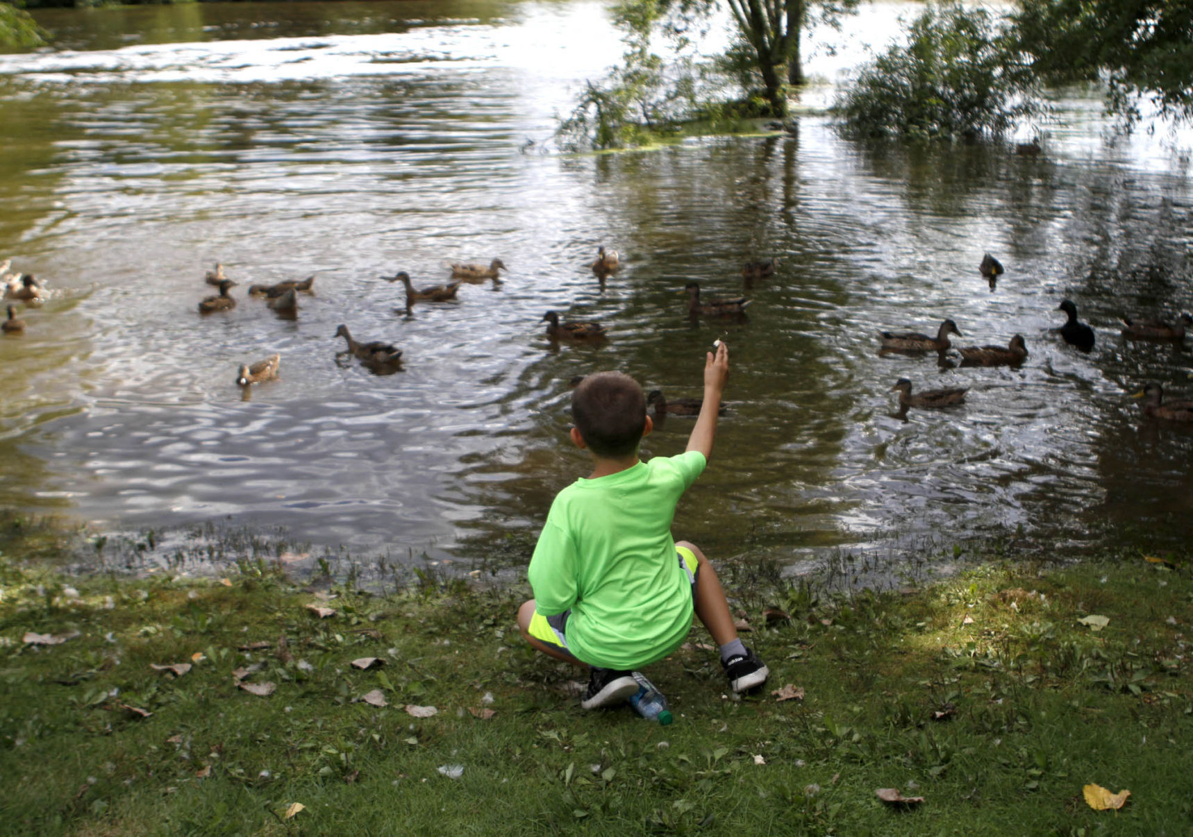 Hobart fest goes on without dam duck race